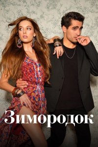 Зимородоk